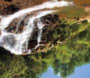 TENGERPARTI Az Éden illatos ültetvényei Mauritius és a Seychelles Ár: 829.000 Ft Black River Gorge Nemzeti Park La Dique Teknős urieuse-szigeten 15 NAP l 2018.11.04., 2019.05.02.