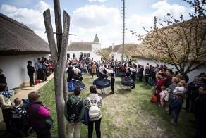 Meghirdetett program: Helyszín: Alföld, Kisalföld, Dél-Dunántúl, Nyugat-Dunántúl, Felső-Tiszavidék,