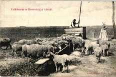 Hortobágy, A gu lya dísze,
