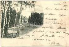 Vöröstoronyi-sz oros, Roter