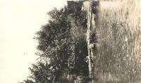 Philopappe T2 2000 21857.