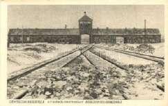 Oswiecim; Crema 2600 21896.