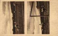 22303. Horse race T2 1 200 22304.