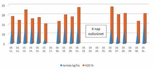 Termésverseny bemutatása és értékelése 2.