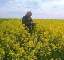 Fiuk, Antal és vejük is tanulta a növénytermesztést, ők azonban a gépészethez is értenek, hiszen gépész végzettségük is van, mindketten Csongrádon tanultak.