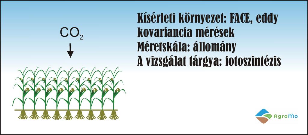 4.2.10. Levélszintű fotoszintézis mérés Az üvegházhatású gázok (ÜHG) körforgalmának egy jelentős része a növények közvetítésével bonyolódik.