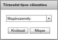 A legördülő listából a megfelelő törzsadat típus választása után a gombra kattintva megjelenik a törzsadat