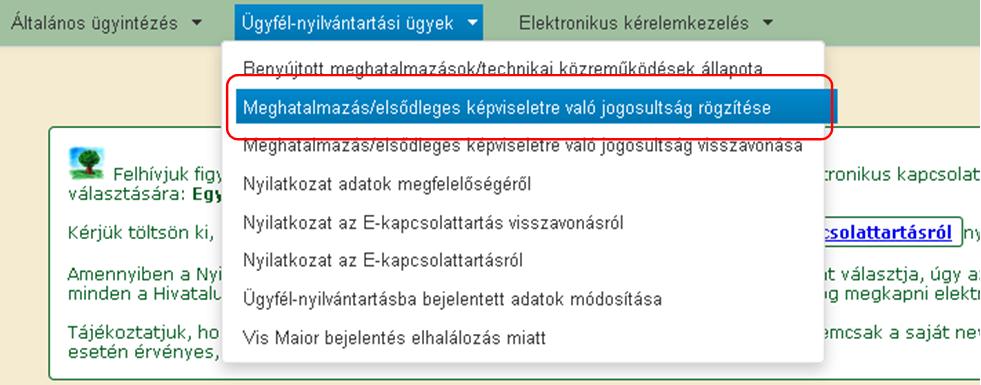 Elsődleges képviselet Amennyiben a nem természetes személy egyetlen törvényes képviselője kíván cége/szervezete képviseletében eljárni, a törvényes képviselő