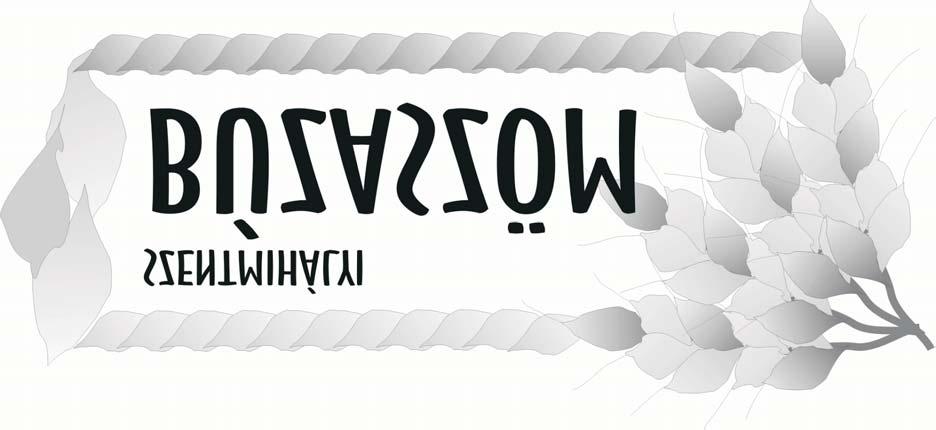 A Szeged-Szentmihályi Római Katolikus Plébánia Hírlevele V. évfolyam 2008 Nagyhét A NAGYHETI SZERTATÁSOKRÓL Az ősegyház életében a nagyheti szertartásokon való részvétel jelentette a lelkigyakorlatot.