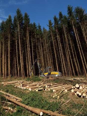 Célkitűzések Kutatásunkban célul tűztük ki az életcikluselemzés (LCA) módszerének első hazai erdészeti adaptálását, az erdőhasználatokra vonatkozóan: Az LCA módszerével a hazai állományalkotó fafajok