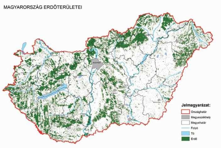 Magyarország erdei Magyarországon az elmúlt 80