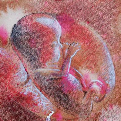Idejét kétféleképpen szokták számolni: hónapokban, az embrió fejlődése szerint, a