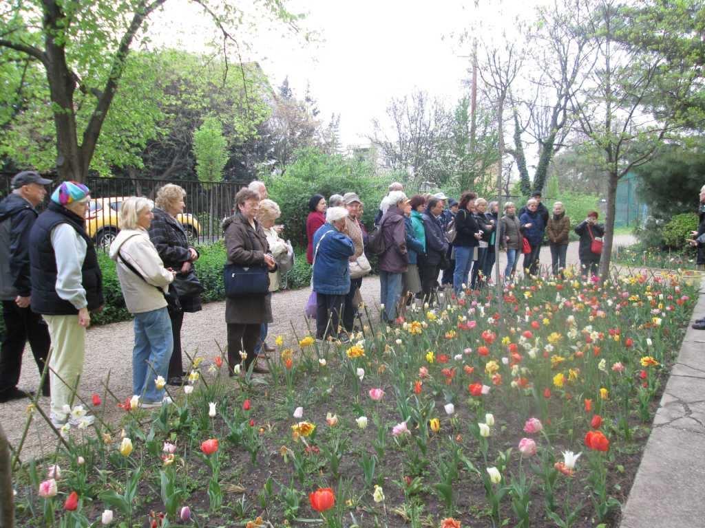 és az idei program ismertetése. Hely, időpont: Ecseri úti ebédlő, 15 óra február 10.