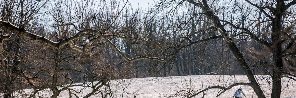 Szerdai barangolás Gyűszűház Program: Egy magán gyűszű gyüjtemény megtekintése.