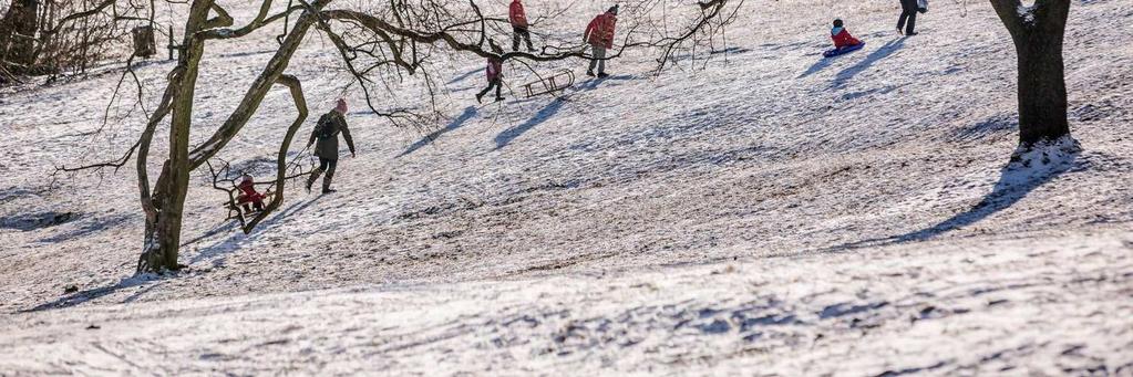 Gyalogtúra Csillebérc-Normafa Program: Évkezdő könnyű séta a téli erdőben.