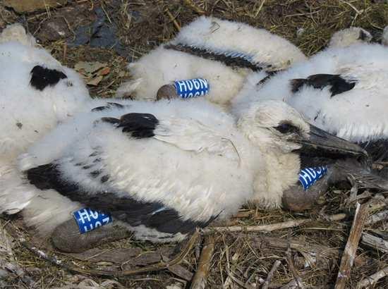 A Duna-Dráva Nemzeti Park Igazgatóság hírlevele 2018.