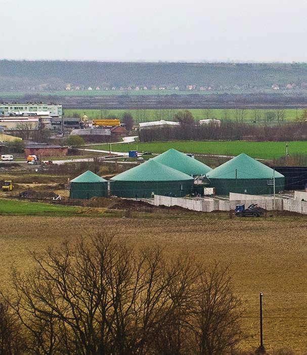 megújuló energia hasznosítási cselekvési terve (2010) Az államra alapoznák a helyi megtakarítást A faapríték harmadakkora áron melegít, mint a földgáz, miért használjuk akkor olyan keveset?