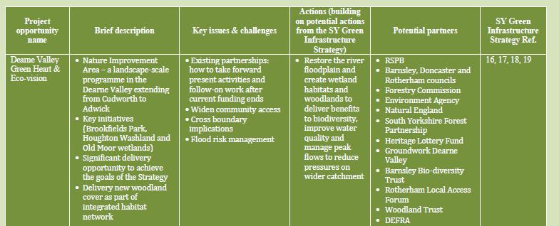 9. táblázat Akciótervek felsorolása az egyes projekt területekre A stratégia lényegi része azonban az öt fő témakör feladatainak kifejtése.