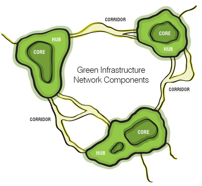 58. ábra Csomópont-folyosó ökológiai modell a ZI tervezés alapja A zöldinfrastruktúra térségi előnyeit három pontba csoportosítja: (1) vizes élőhelyek védelme, (2) az egészséges erdőterületek