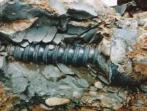 A kibontott kész Ischebeck horgony a cementtejjel kitöltött furattal és az átcementálódott talajkörnyezettel. Az Ischebeck horgonyoknál 120 év élettartammal számolnak.
