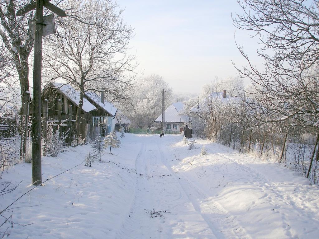 ASOCIAŢIA ECOLOGICĂ SILVANUS ÎNFIINŢAT DE 10 ANI 10 ÉVES A SILVANUS ÖKOLÓGIAI EGYESÜLET Kérjük Önt, hogy személyi-jövedelemadója 2%-ával támogassa egyesületünket e nemes célok érdekében.