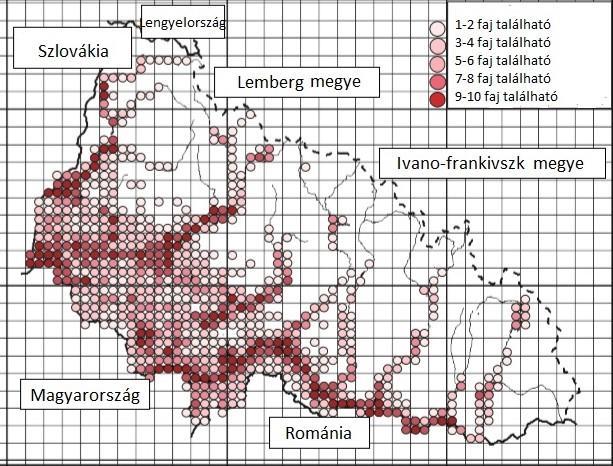 2.3. Vykhor és Prots által kutatott özönnövények megjelenése, elterjedése Annak érdekében, hogy azokat a területeket, ahol a legnagyobb nehézségek merülnek fel, az intézkedések végrehajtásának