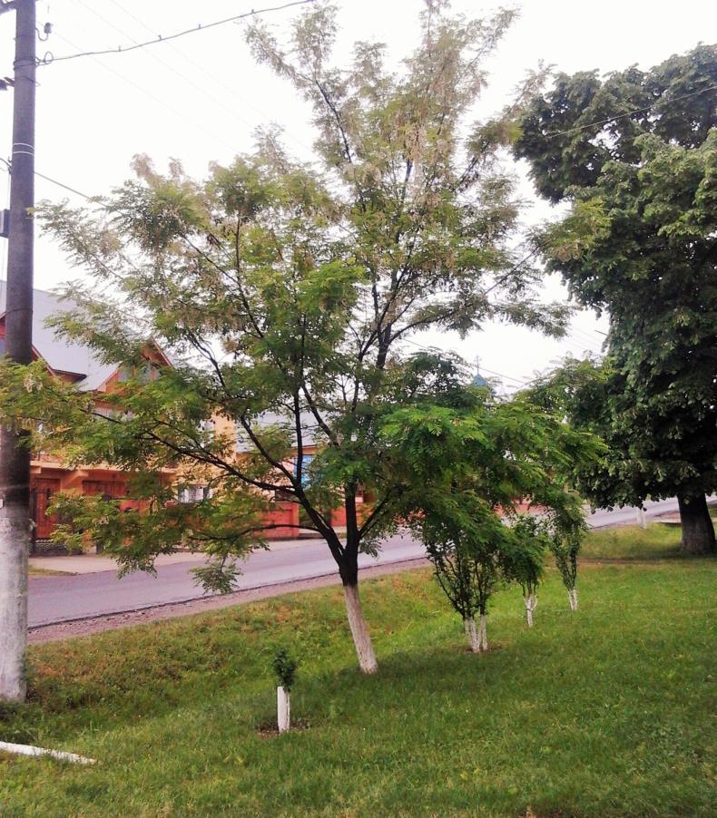 24. melléklet.