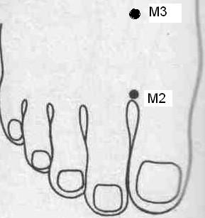 pont: M 3 a Máj meridiánon Helye : Az első és a második lábközépcsont között egy