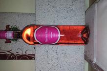 10. Tétel Merlot Rozé 2017 Juhász Testvérek Pincészete Egerszalók 19,3 A R A N Y Remek összetételű bor. A szín és a fajtajelleg tökéletesen átjön. A Merlot méltán világfajta.
