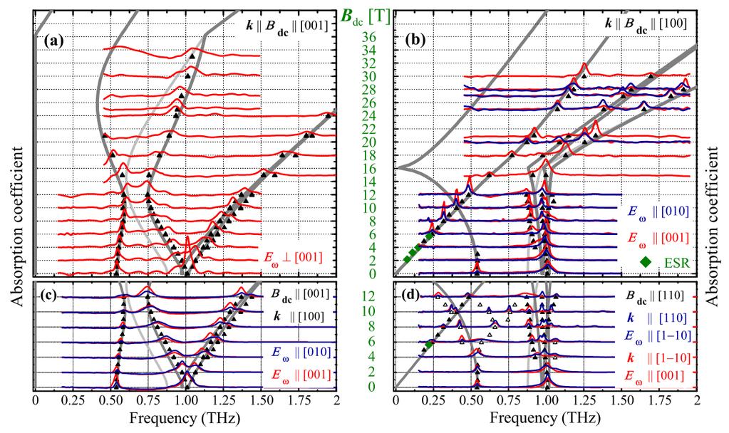3.4 Inelasztikus neutronszórási kísérletek 3.6. ábra. Ba 2 CoGe 2 O 7 -on mért abszorpciós spektrumok és az elméletileg számolt módusok mágneses tért l való függése [29].