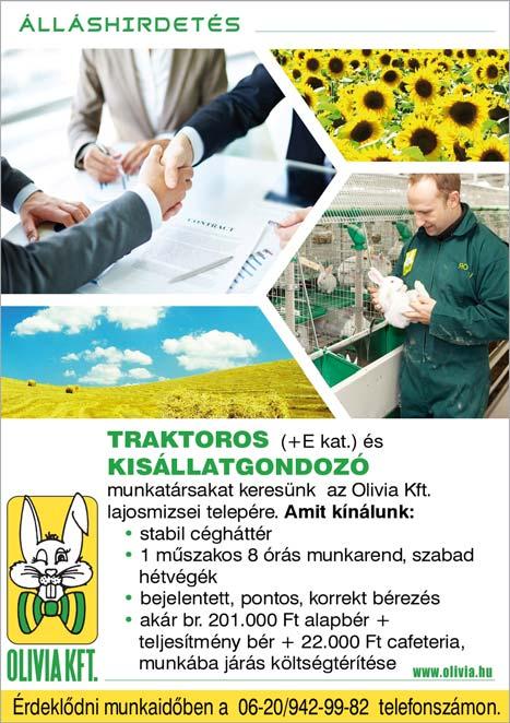 napi 8 órás munkavégzéshez, azonnali kezdéssel. Szakmai önéletrajzokat a munkatars999@ gmail.com várjuk. SEGÉDMUNKÁST keresünk kecskeméti munkahelyre.