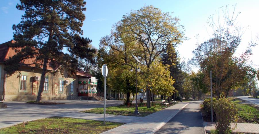 ) A lakóhelyükön észlelt problémahalmazt kihívásként élik