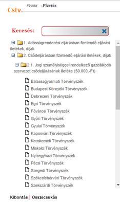 Ezt kiválasztva adjuk meg a befizető nevét, majd email címét.