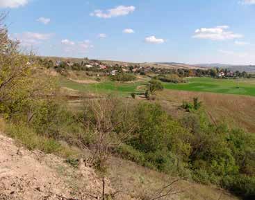 való megtartásának szándéka.