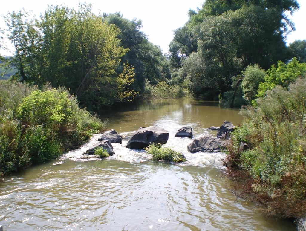 Közép-Duna-völgyi Vízügyi Igazgatóság 1088 Budapest, Rákóczi út 41. Tel: +36-1/477-3500 E-mail:titkarsag@kdvvizig.