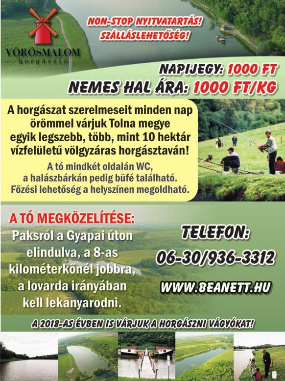 Megfigyelted már, hogy amikor felütöd a tojást, a sárgája sosem ugyanolyan színű?