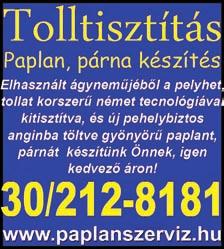 bérezést, ingyenes szállást, utazást, valamint bérelőleget és hosszú távú munkát biztosítunk.