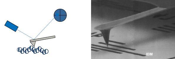 A képek egyben az elektronok kvantummechanikai hullámtermészetét is 31 demonstrálják. ATOMERŐ MIKROSZKÓP Atomic Force Microscope, AFM.