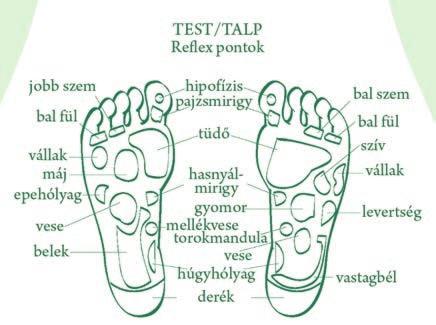 Az egészséges láb szolgálatában, a lábujj körmök problémáinak felismerése, a lábtorna fontossága.