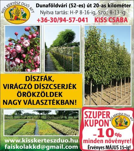 Az ültető gödör fák esetében legalább 1x1x1m, fenyőfélék esetében legalább 0,8x0,8x0,8m; cserjék esetében legalább 0,4x0,4x0,4m kell legyen.