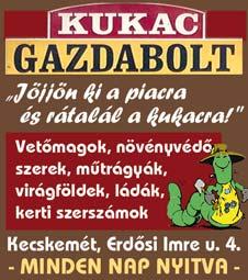 A fürjtojás több vitamint tartalmaz, mint a tyúktojás, és tele van jó koleszterinnel.