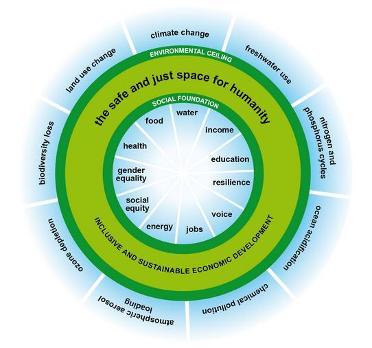 Mapping the draft Sustainable Development Goals onto the doughnut 13 Focus of a goal