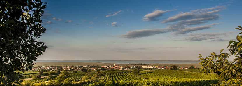 Gut Purbach Az izgalmas és olykor meghökkentő gourmet-labor Max Stiegl vezetése alatt Burgenland egyik vezető étterme lett.