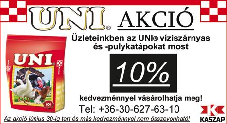 azonnali készpénzfizetéssel