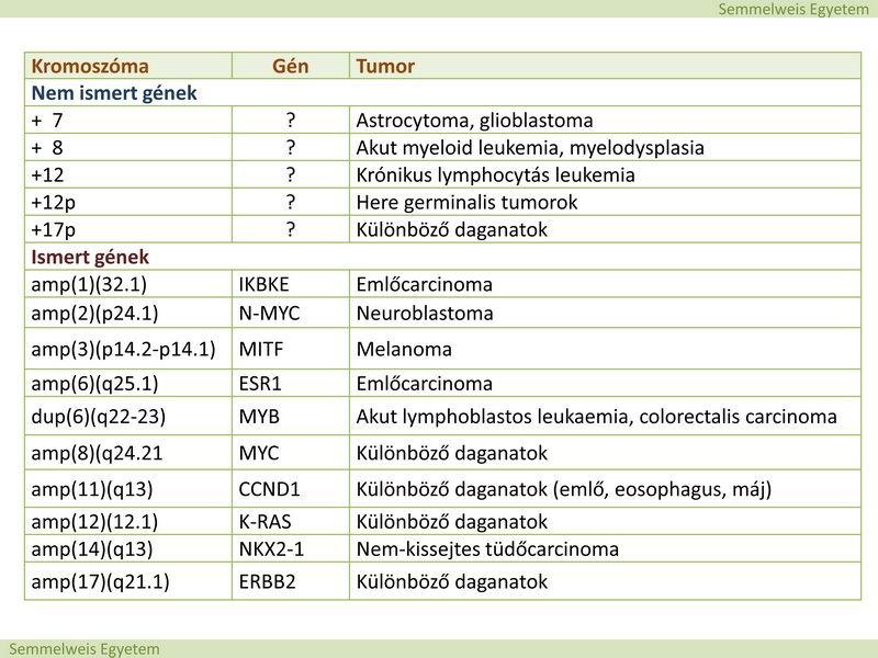 B. Kromoszomális imbalance A génamplifikáció és -deletio milyen módon járul hozzá a daganatok kialakulásához?