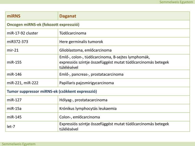 keletkezésében és progressziójában.