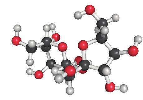 H 22 O 11 2.1.2. A répacukor fizikai tulajdonságainak vizsgálata A répacukor fehér, szagtalan, szilárd halmazállapotú, vízben jól oldódó, törhető, aprítható anyag.