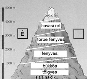 e) Tengerszint feletti magasság / hőmérséklet / páratartalom 1+ Megjegyzés: Bármelyik kettő említése elfogadható. 8.