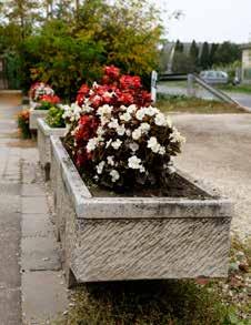 kereszteződésében lévő örökzöldek alkotta emlékparkban kapott helyet.