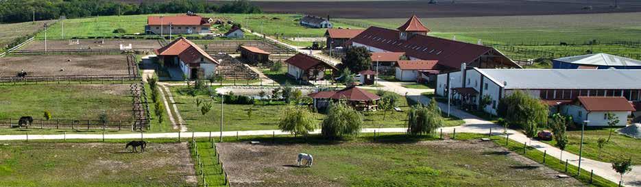 A 2015 végén kialakított lovardában biogazdálkodás és a lótartás tevékenységei párhuzamosan és egymást kiegészítve működnek.